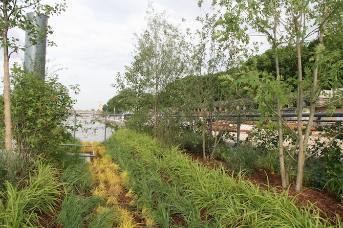 L'île prairie, généreusement plantée - © J.-F. Coffin